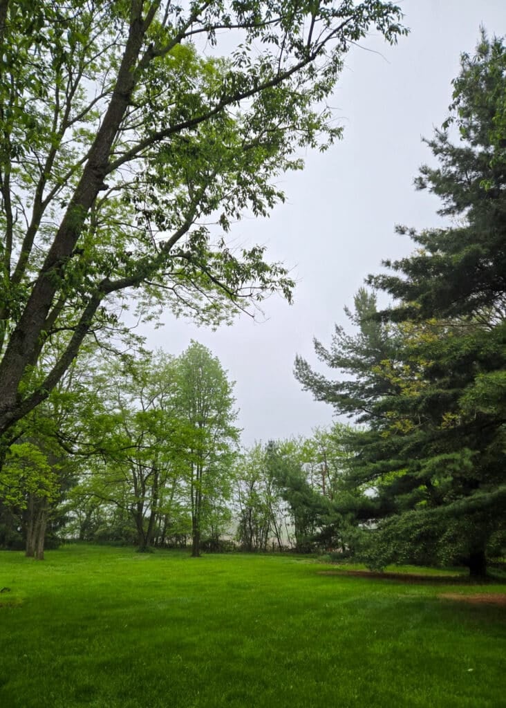The Little Things Newsletter #469 - Life, laughter, and lots of great food!